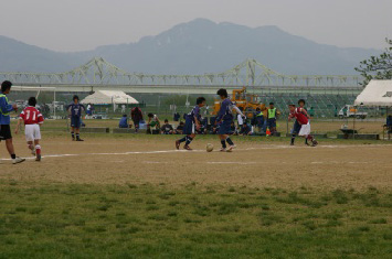 写真:信濃川河川公園