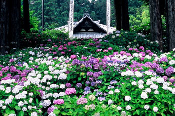 写真:増穂の妙法寺