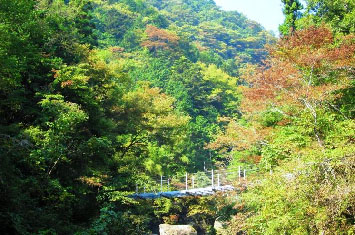 写真:大柳川渓谷