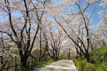 写真:大法師公園