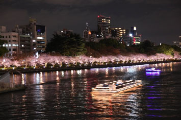 写真:桜のライトアップとクルーズ船（大川）