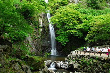 写真:箕面大滝