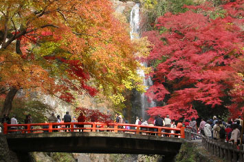 写真:箕面大滝