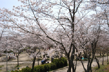 写真:摂津峡公園