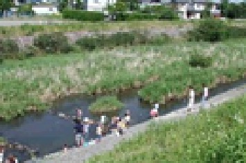 写真:芥川緑地