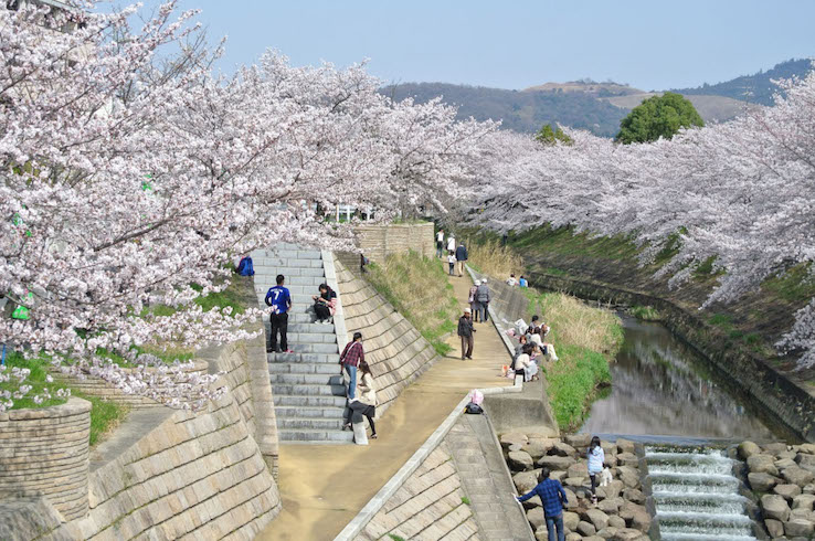 写真:川と一体となって楽しめる水辺空間に！