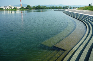 写真:散策可能な今切川の水辺の風景