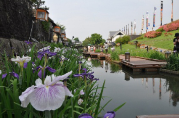 写真:高瀬裏川花しょうぶまつり（近傍の高瀬裏川）