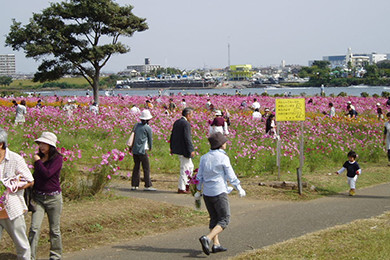 平塚市かわまちづくり