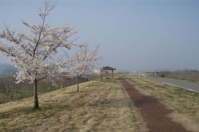 笛吹市かわまちづくり