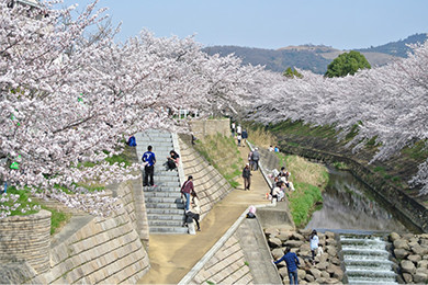 佐保・西の京地区かわまちづくり