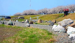 寺島地区かわまちづくり