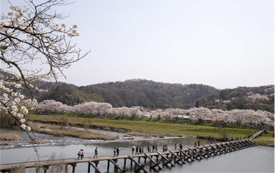 木次地区斐伊川かわまちづくり