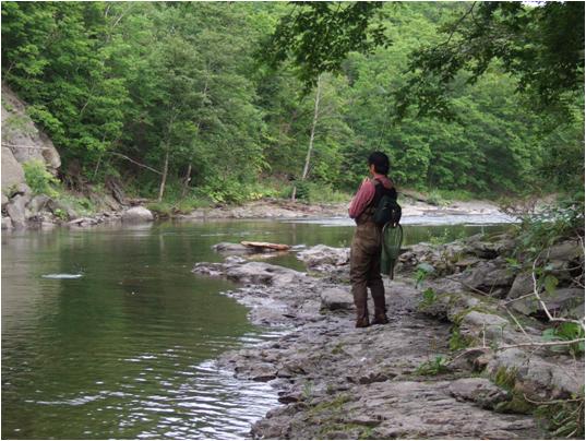 Trout Derby Vol.18(kCʌS㒬@)