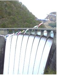 鳴子ダムのすだれ放流と鯉の滝のぼり（宮城県大崎市）