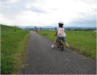 夏の神通川緑地公園（富山県富山市）