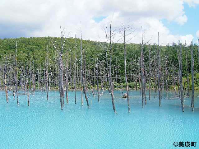 青い池