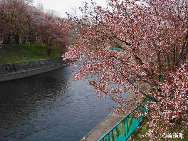 聖台ダム公園