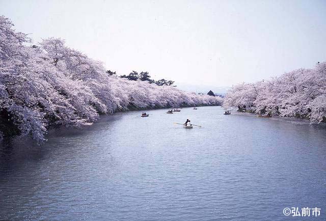 色彩豊かな二階堰川