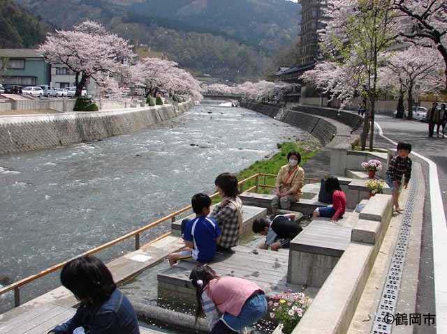 四季折々の風情豊かな温海川