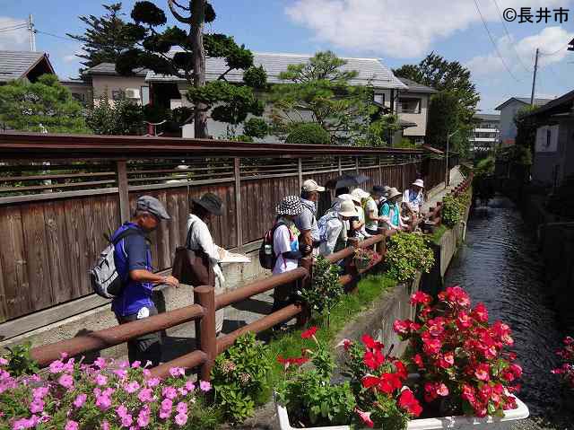 花揺らぐ水辺のまち歩き