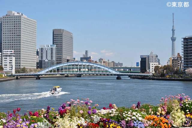 春の季節の隅田川 (永代橋)