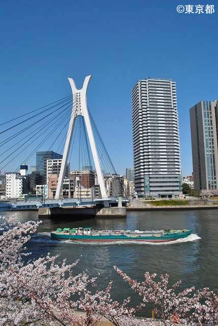 春の季節の隅田川 (中央大橋)