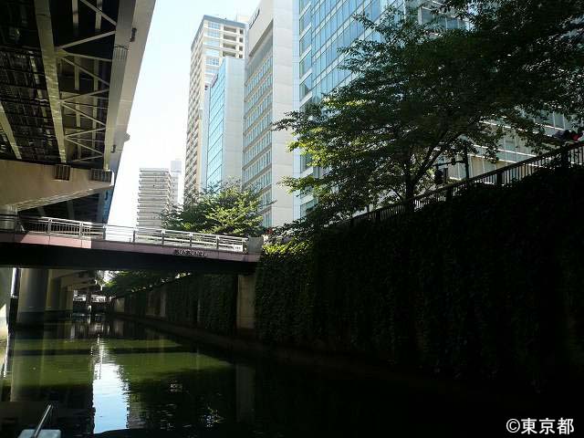 貴重な緑を感じられる日本橋川