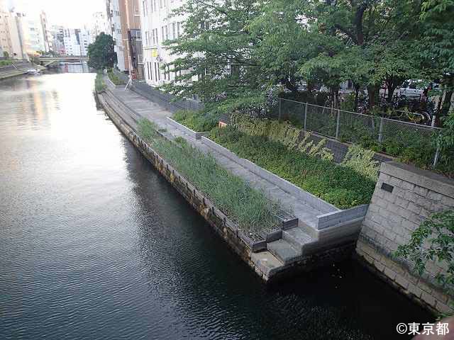 都心の中の亀島川