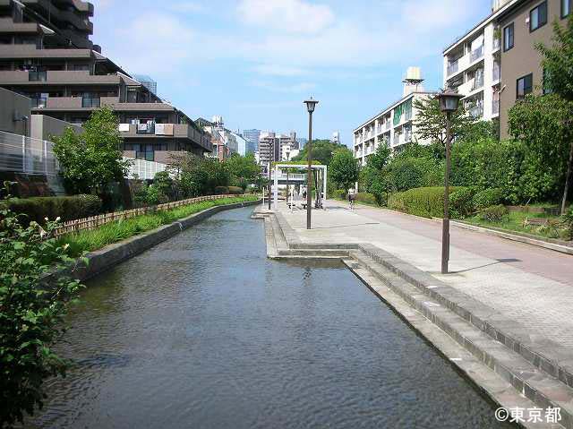 海水?をたのしむ古石場川
