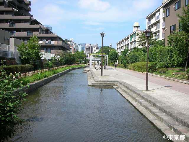 海水？をたのしむ古石場川