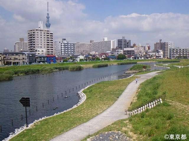 人々に親しまれ、くらしの中に活きる川