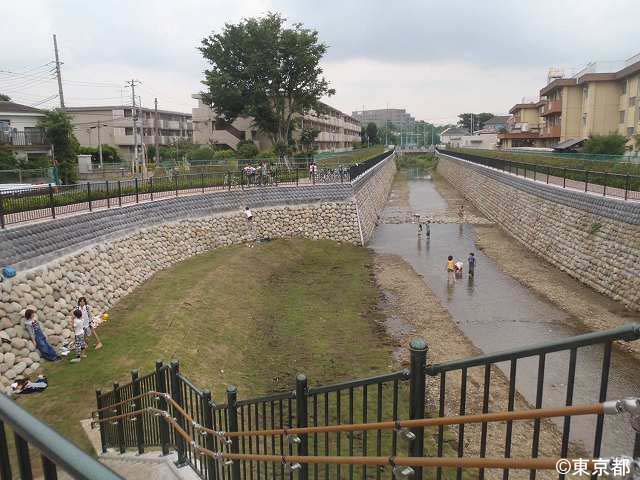 石神井川の水遊び