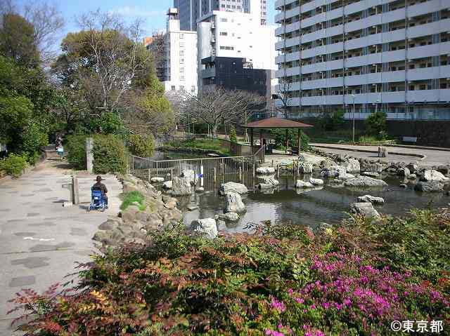 かつての仙台堀川のうるおいを継承し、親水公園に生まれ変わる