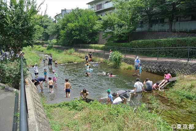 市街地を流れる清流・落合川