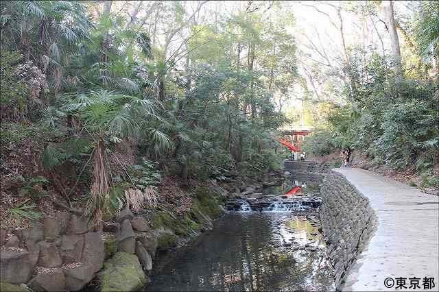 地域のシンボルとして【谷沢川・等々力渓谷】