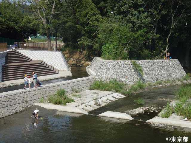 地域のシンボルとして【鶴見川・鎧堰】