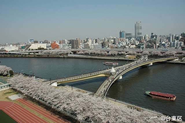 隅田川の桜橋と桜