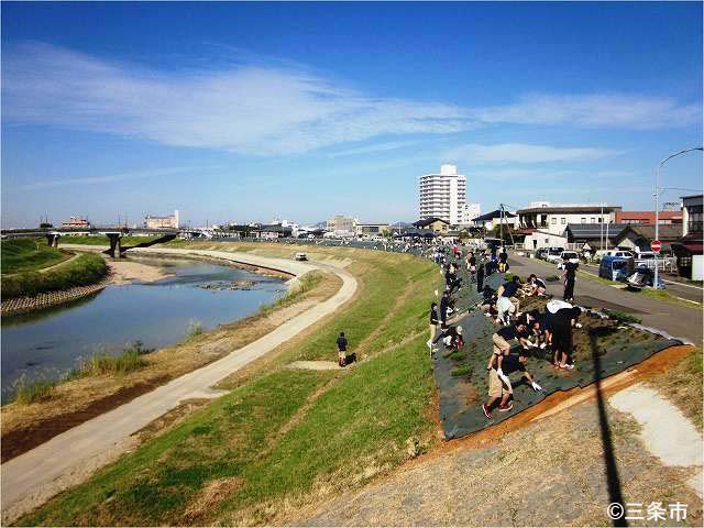 芝桜の季節 五十嵐川