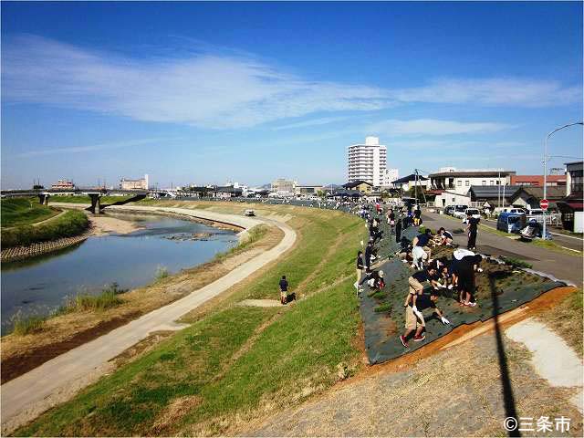 芝桜の季節　　五十嵐川