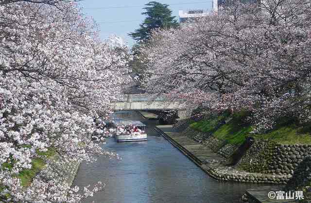 春の松川