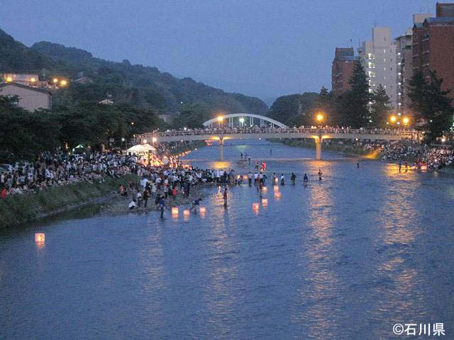 夜を彩る初夏の浅野川