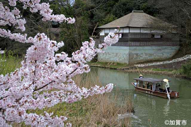 大聖寺川 流し舟