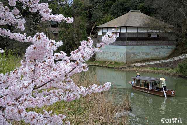 大聖寺川　流し舟