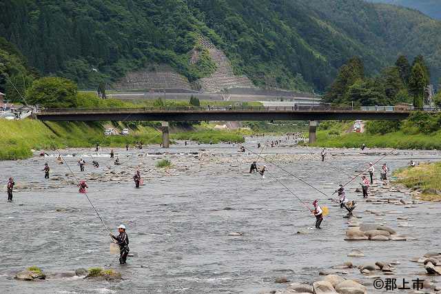 長良川の鮎釣り