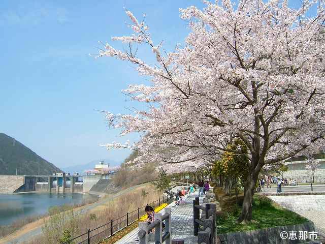 春の阿木川ダム