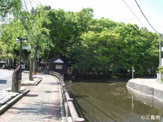 憩いの散策路　白滝公園～水辺の文学碑