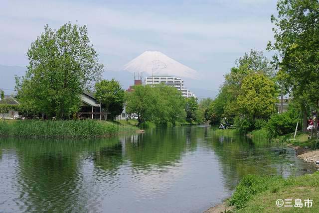 富士山を望む中郷温水池