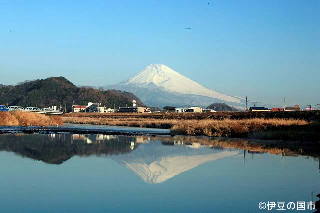 世界遺産富士山に向かって流れる狩野川