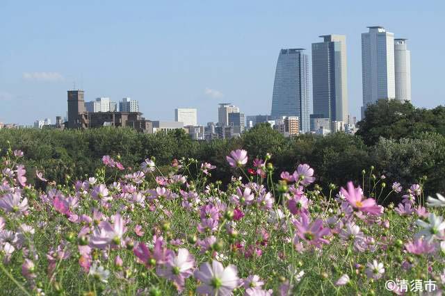 名古屋都市圏における豊かな水辺環境